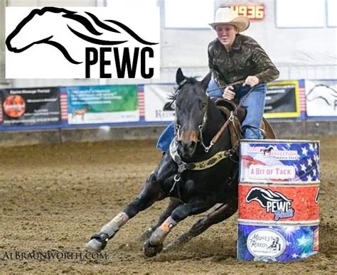 Award recipients at the PEWC Finals